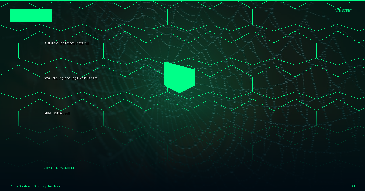 RustDuck: The Botnet That’s Still Small but Engineering Like It Plans to Grow - Ivan Sorrell